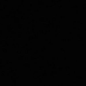 Meet your Posher, Madison deleon